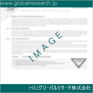 グローバルリサーチ調査資料のイメージ